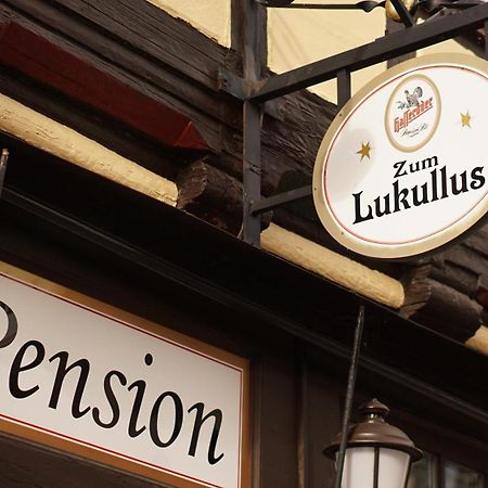 Pension Zum Lukullus Wernigerode Zewnętrze zdjęcie